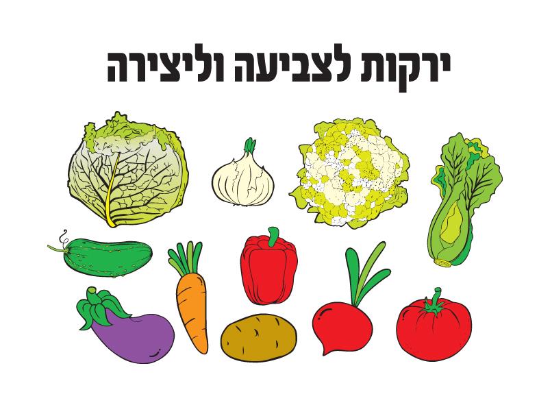 עבודת יצירה ירקות לצביעה - 36 יח'