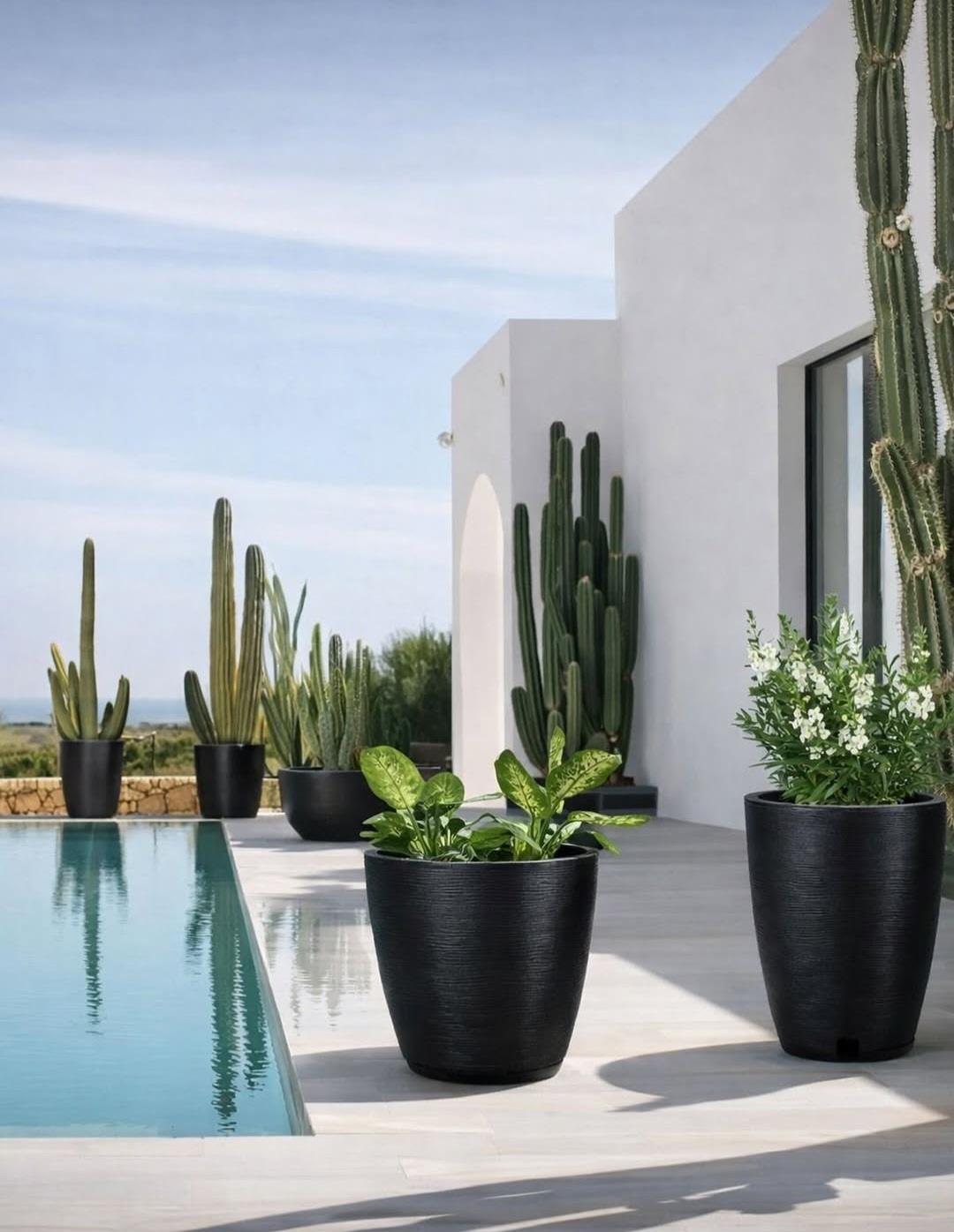 כדי אמסטרדה אובלים