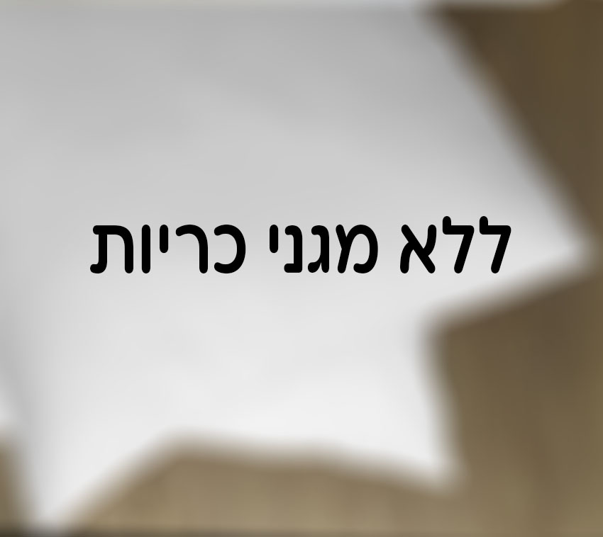 ללא מגני כריות