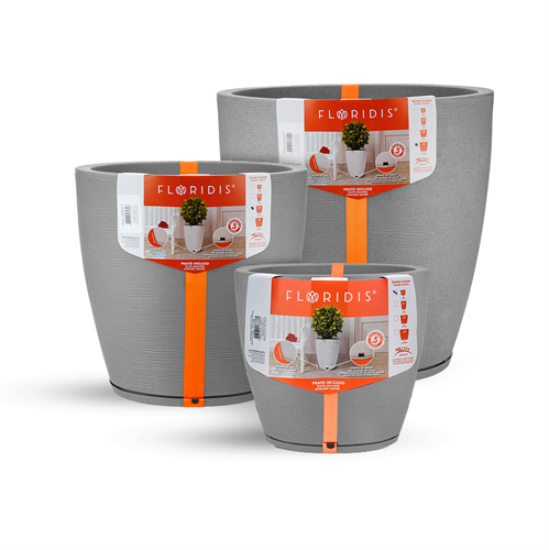 כדי אמסטרדה אובלים