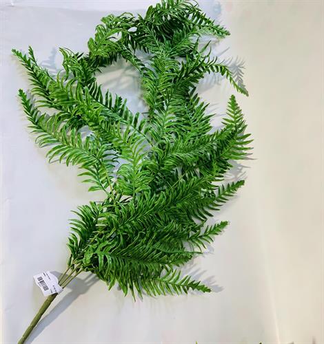 עלים ירוקים  C11