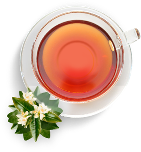 תה EARL GREY בקרוב