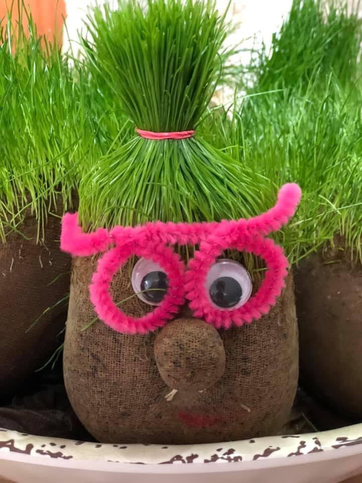 ערכת ראש דשא (15 יחידות) ערכת ראש דשא (15 יחידות)