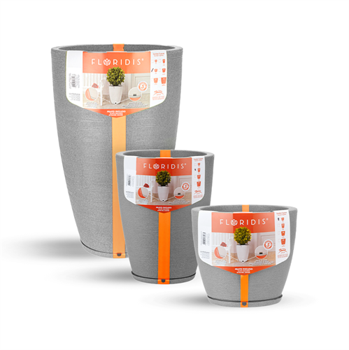 כדי אמסטרדה כדי אמסטרדה