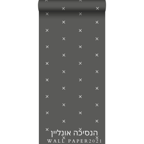 טפט לסלון דגם 30