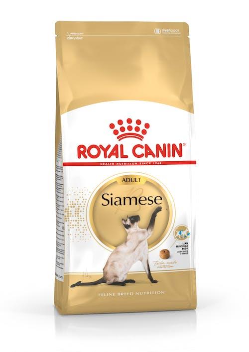 3182550710695 Royal Canin רויאל קנין לחתולים סיאמים 4 ק"ג