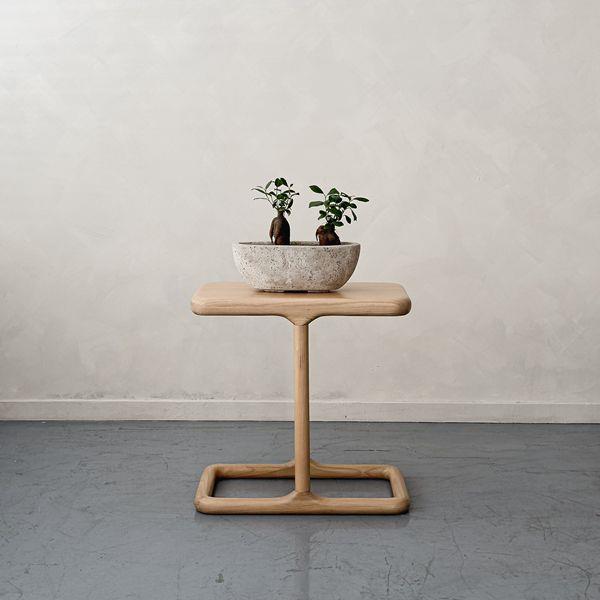 נשכן דגם ריי