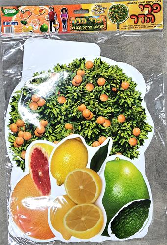 ערכת קישוט פרי הדר ערכת קישוט פרי הדר