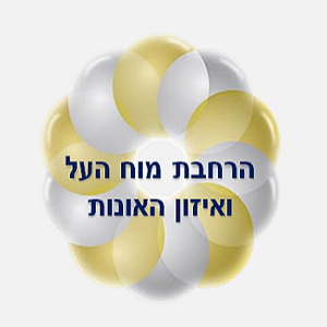 8. הרחבת מוח-העל, ואיזון האונות.