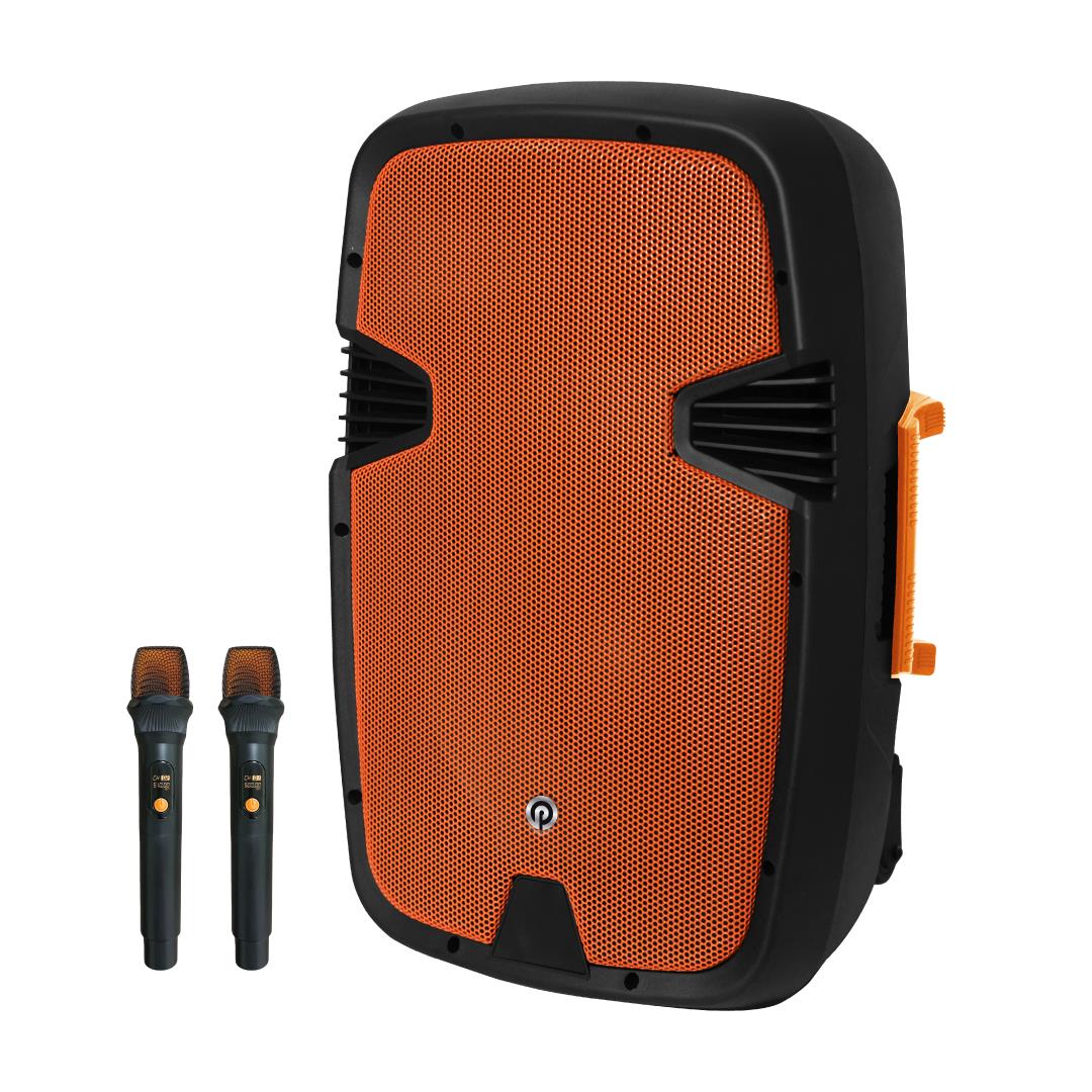 בידורית 2 מיקרופונים -600W PMW4415 פיור אקוסטיק Pure Acoustics