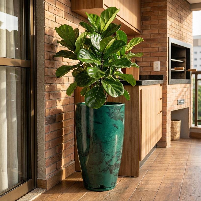 אמסטרדה גלייז