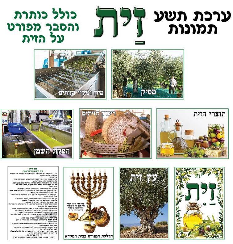 ערכת תמונות בנושא הזית