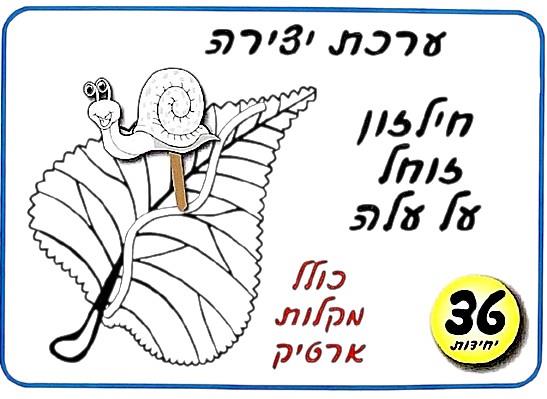 עבודת יצירה חילזון זוחל על עלה