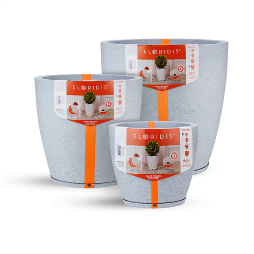 כדי אמסטרדה אובלים