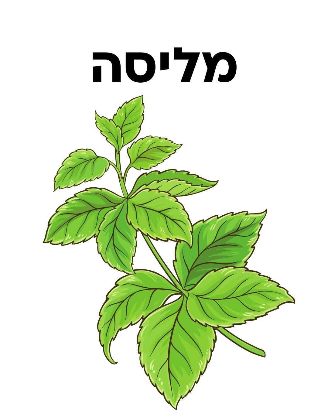 ערכת זריעה- מליסה