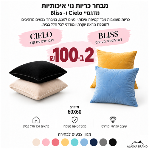 מבצע! 2 כריות נוי 60X60 איכותיות ב100 ש"ח!  | דגם - Cielo וBliss
