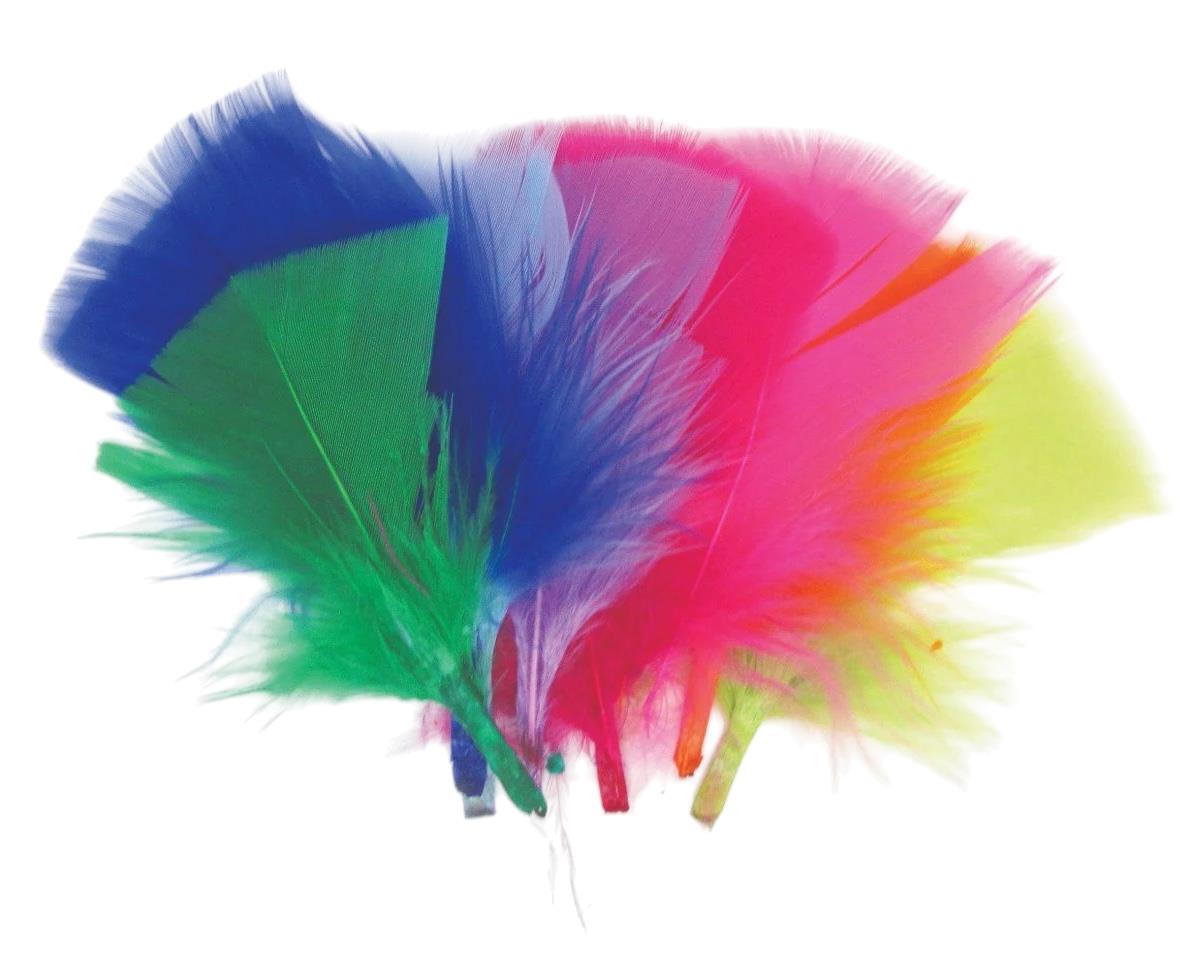 נוצות בינוניות צבעוניות - מארז