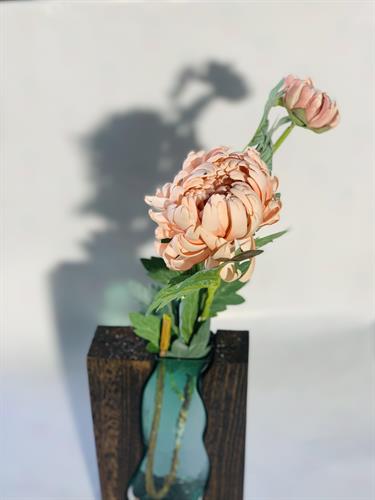 שושנה עם עלים אפרסק