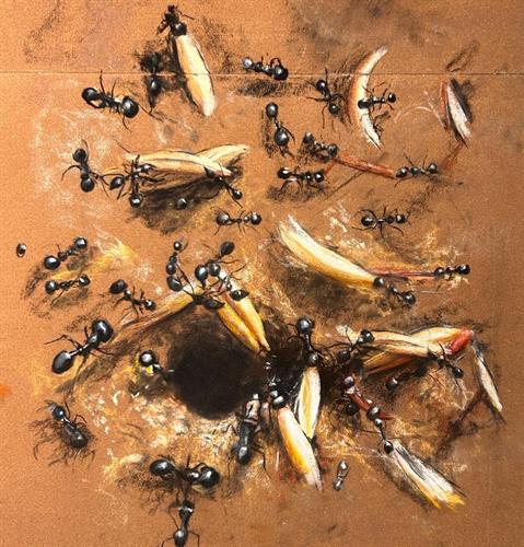 Photo 02-08-2023, 17 01 58 (1)