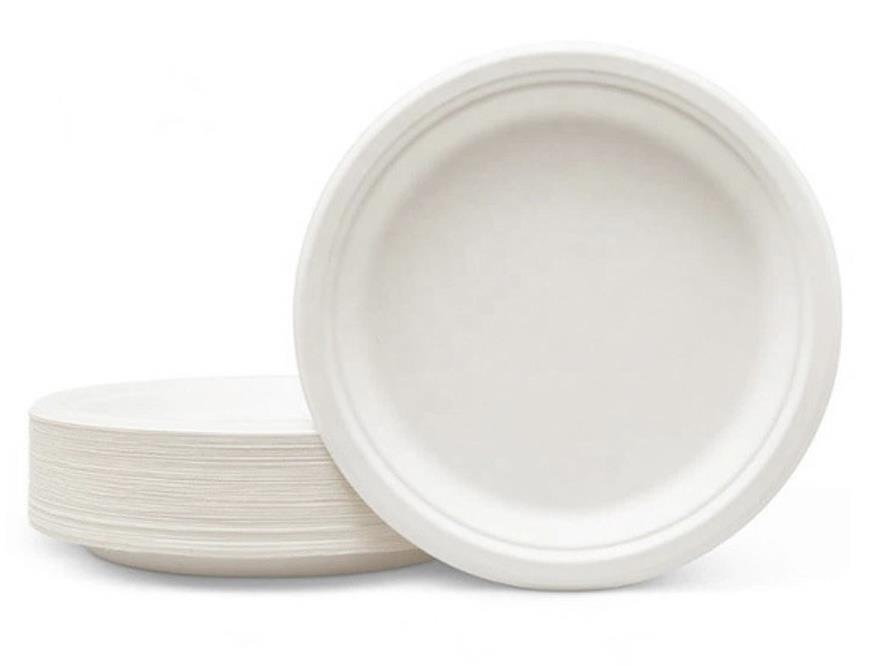 צלחת מתכלה 20 יחידות