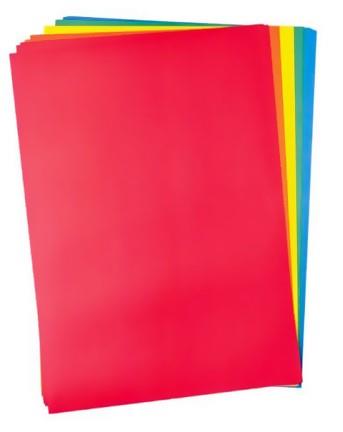 מפל A4 צבעוני 12 יח'