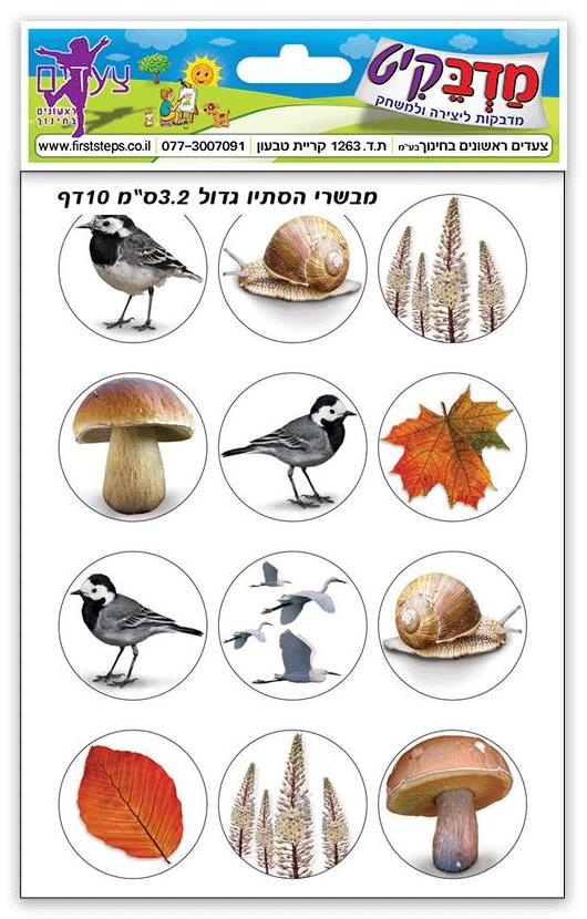 מדבקות סמלי סתיו גדול