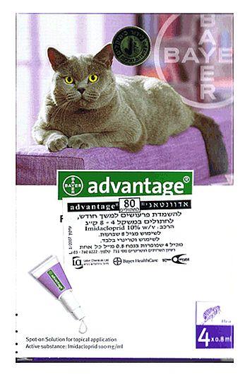 גב האריזה אדוונטג' 80 חתול מעל 4 קג Advantage שופיפט