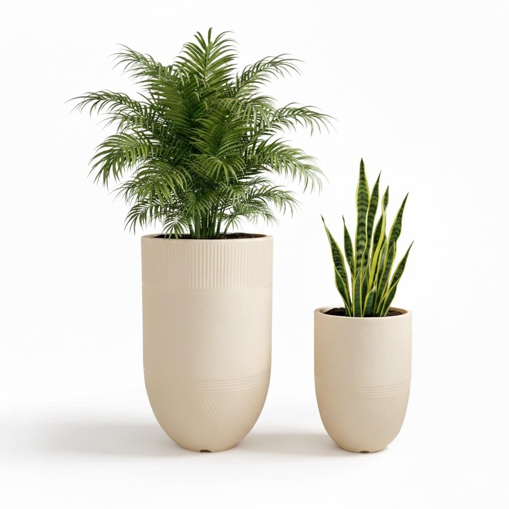 סט כדי ארגוס שחור סט כדי ארגוס שחור