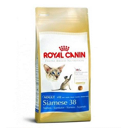 3182550710695 מזון יבש לחתולים סיאמים 4 ק"ג Royal Canin רויאל קנין