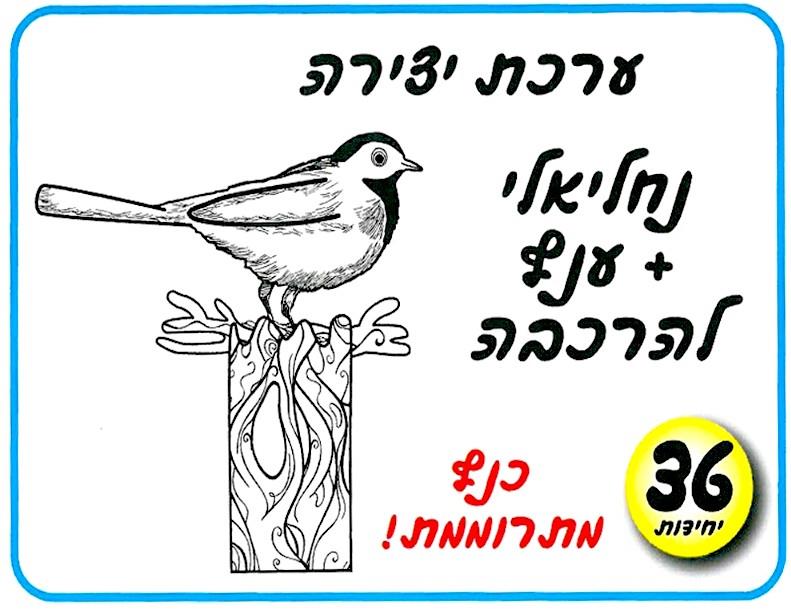 עבודות יצירה נחליאלי + ענף להרכבה