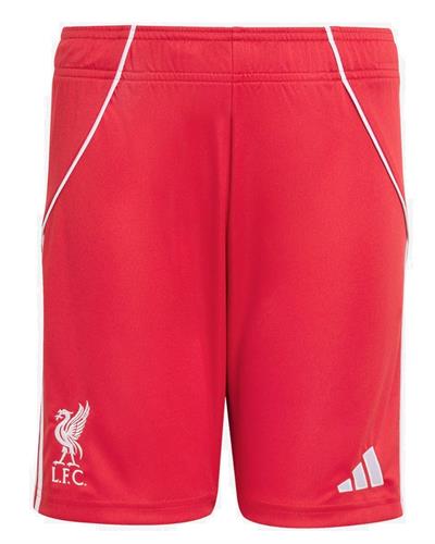 תוספת מכנס קצר- מבצע