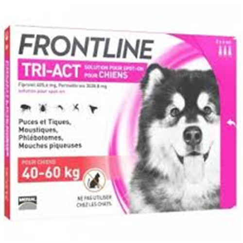 פרונטליין 3 אמפולות נגד פרעושים וקרציות לכלב מ- 40 ק"ג עד 60 ק"ג