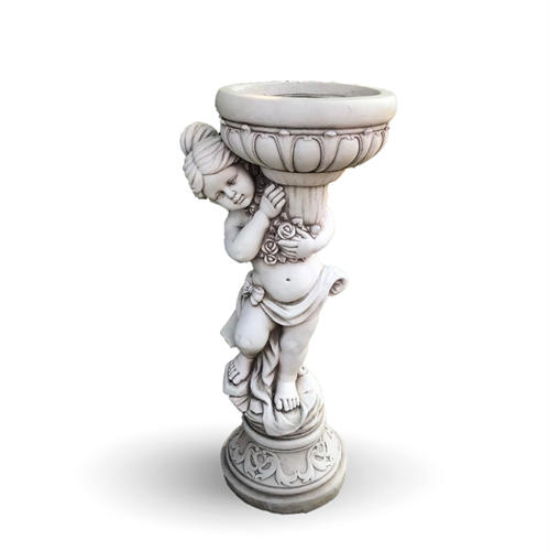 מלאכית לשתילה