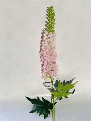 גבעול ורוד מערוך