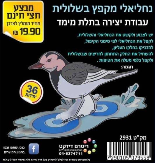 עבודת יצירה נחליאלי תלת מימד