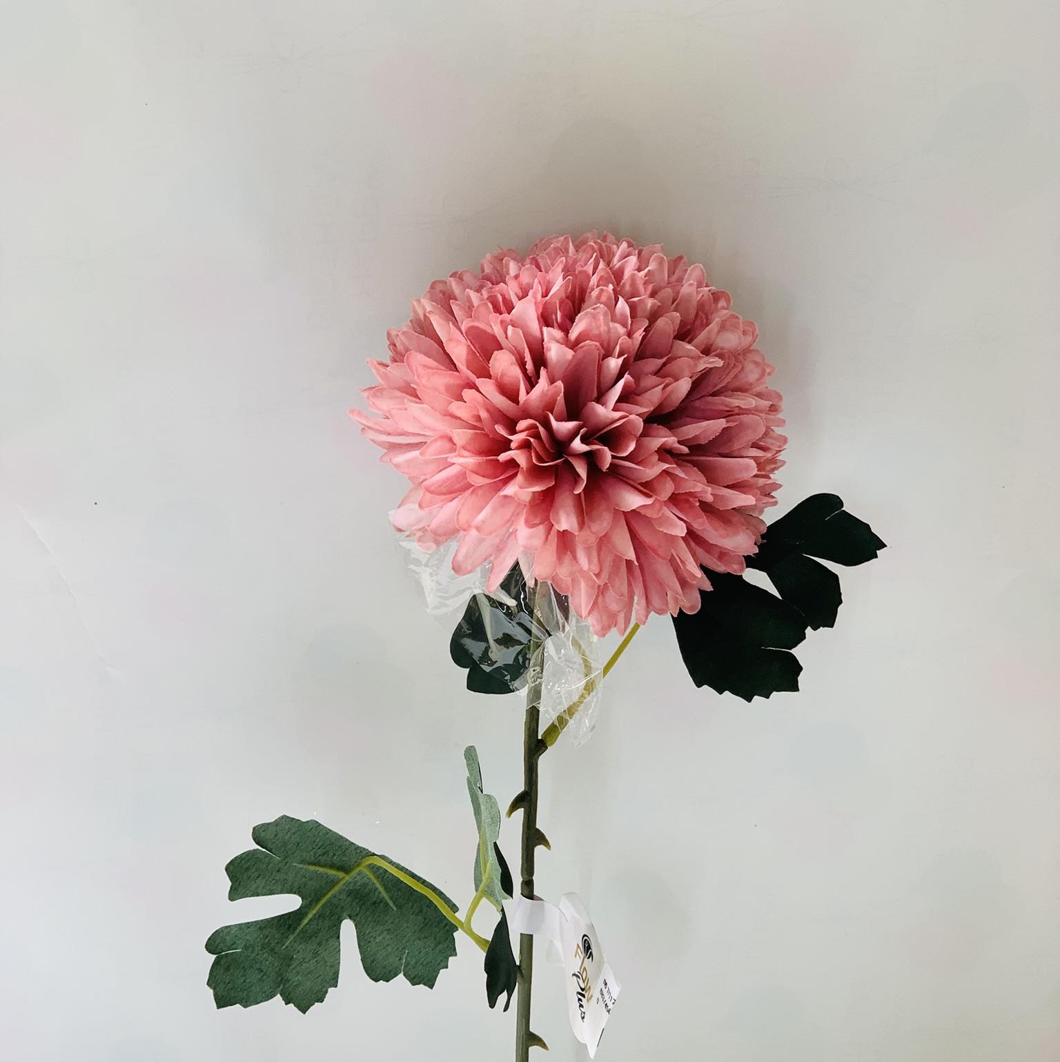 פרח עגול ורוד