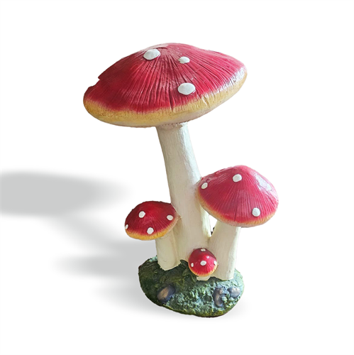 פטריה פטריה