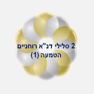 14. 2 סלילי דנ"א רוחני                הטמעה (1).