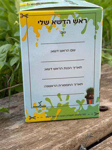 ראש דשא ראש דשא