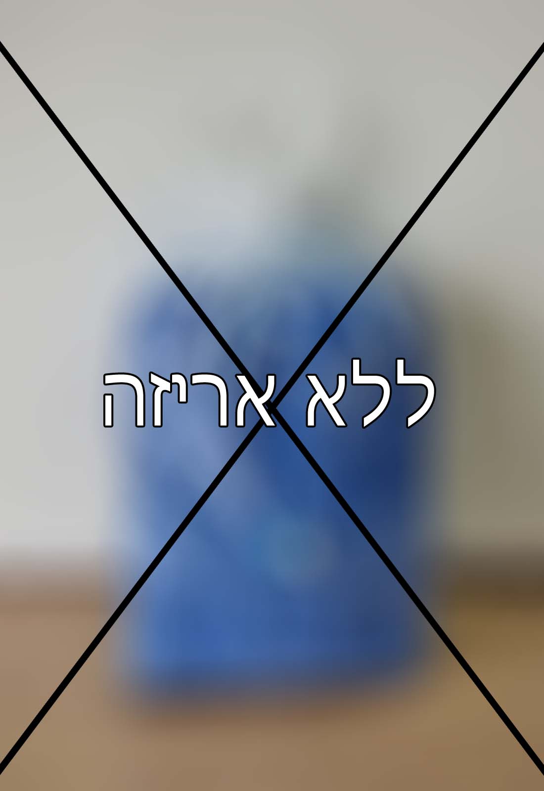 אני לא מעוניינ/ת באריזת מתנה