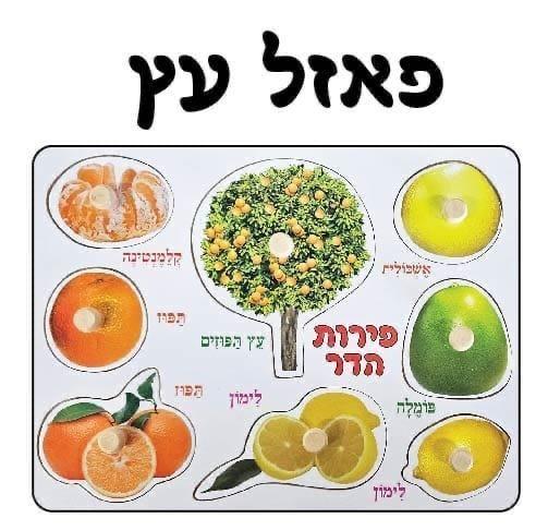 פאזל עץ פרי הדר