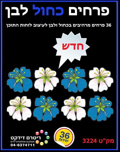 פרחים כחול לבן לקישוט