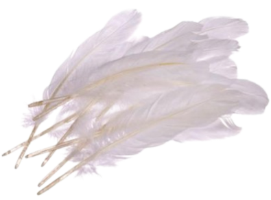 נוצות לבנות - 120 יח'