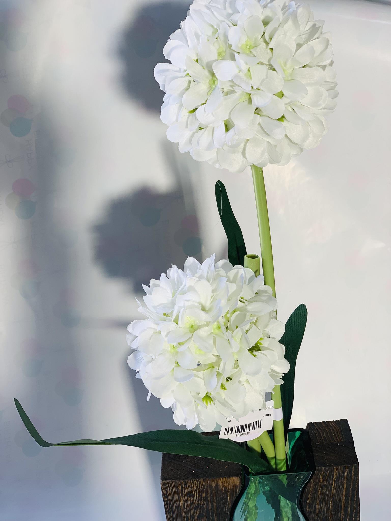 שושנים עגולים #2