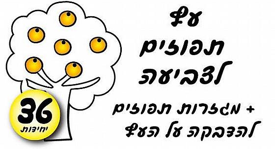 עבודת יצירה עץ תפוזים + מגזרות תפוזים