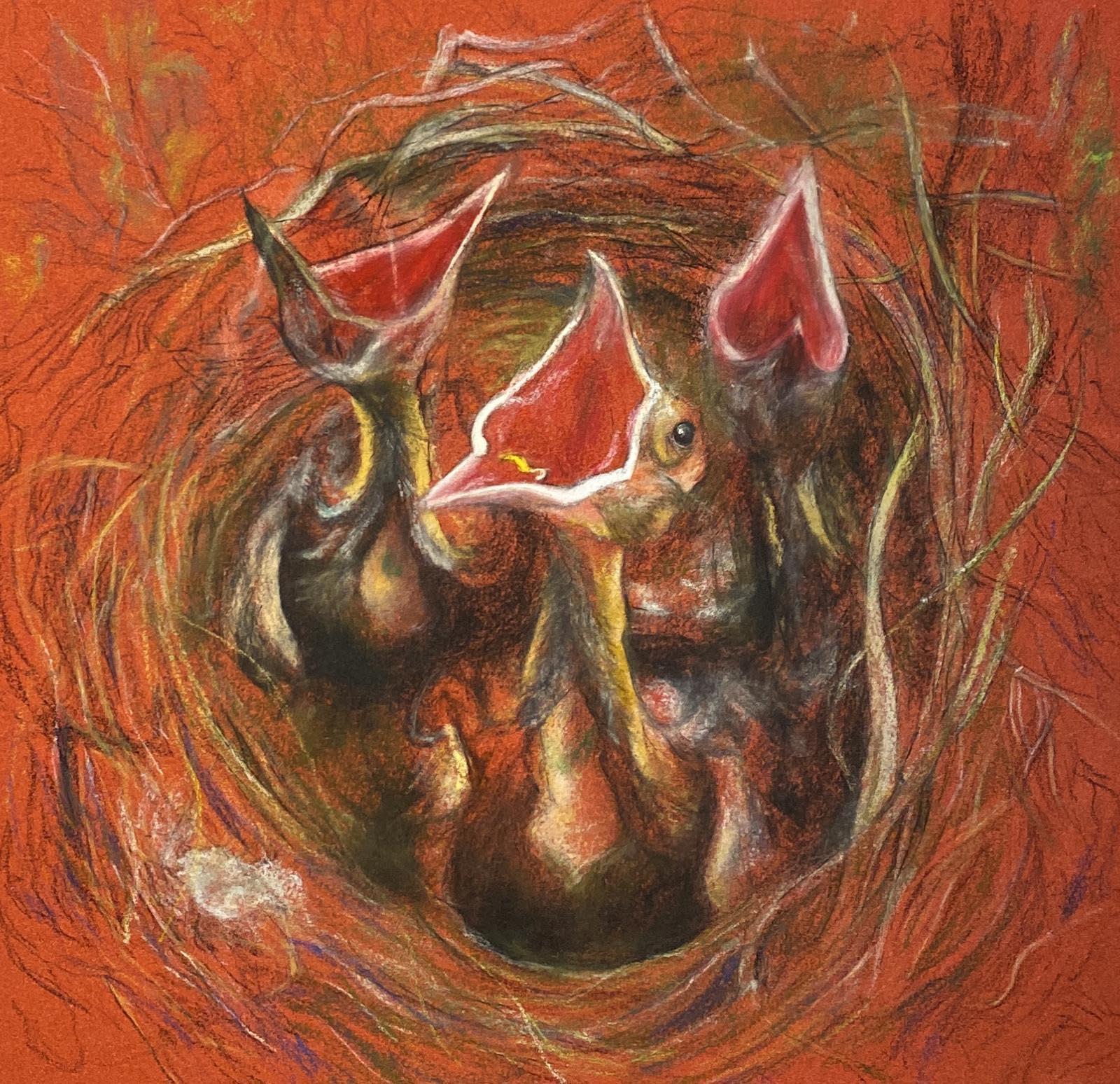 Abandoned Crow, 2023, chalk on paper, 50x50 cm