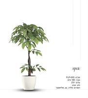 פרשליין - צמחיה מלאכותית - צמחים מלאכותיים - עץ אבוקדו מלאכותי