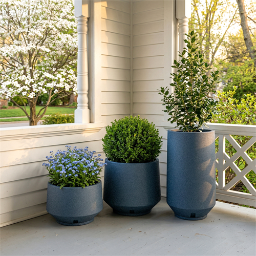 ברלים ברלים