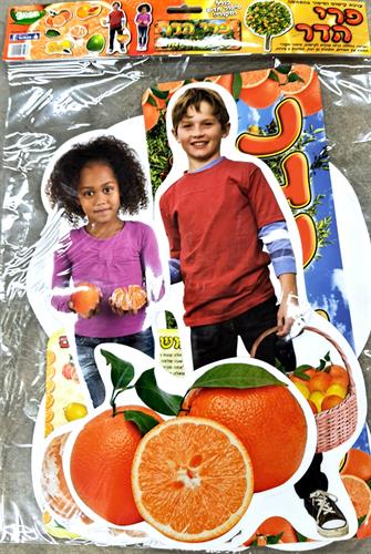 ערכת קישוט פרי הדר ערכת קישוט פרי הדר