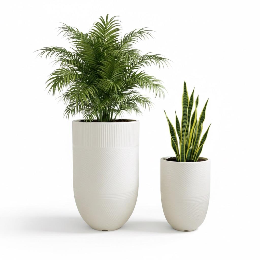 סט כדי ארגוס שמנת סט כדי ארגוס שמנת